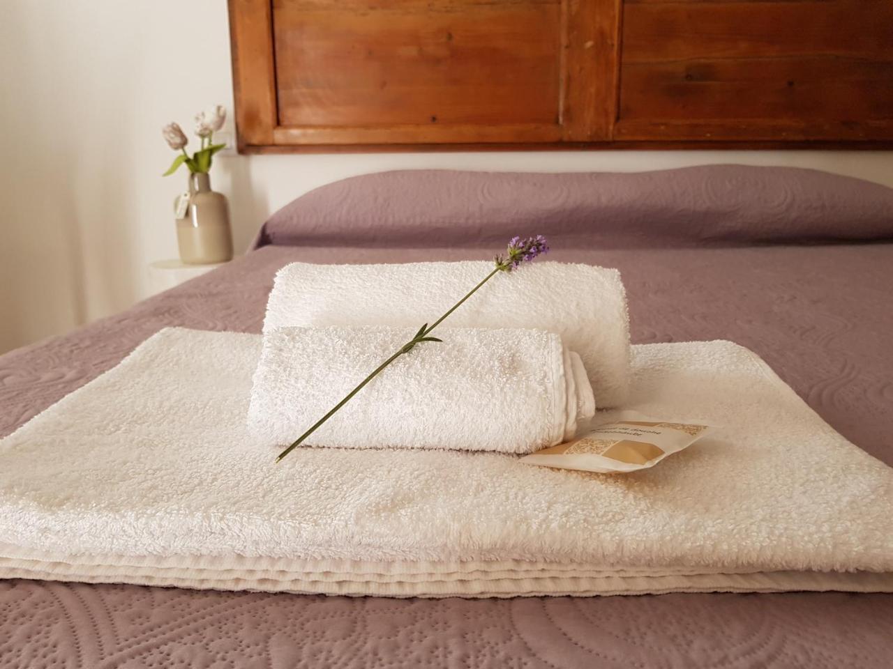 La Viola E Il Sole - Alloggi E Glamping - 페르모 외부 사진